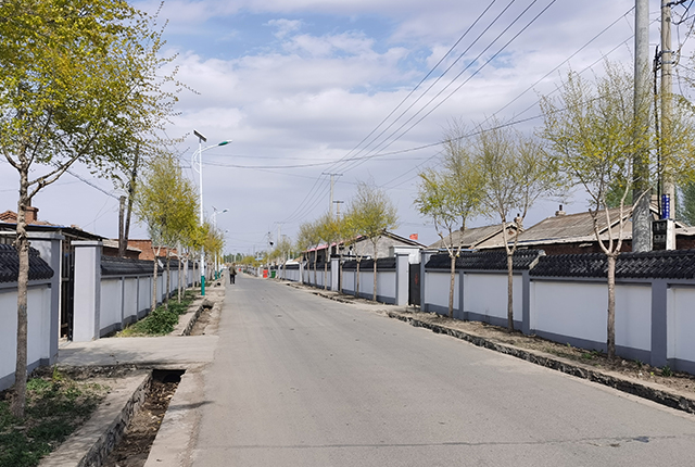 新農(nóng)村太陽(yáng)能路燈